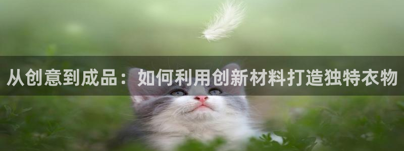 天辰娱乐60447