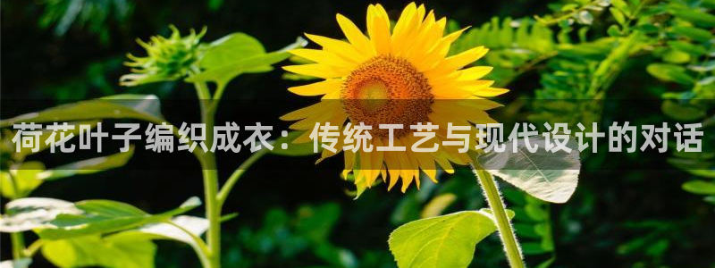 天辰娱乐文案