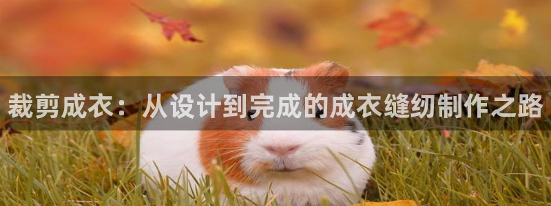 天辰娱乐输了