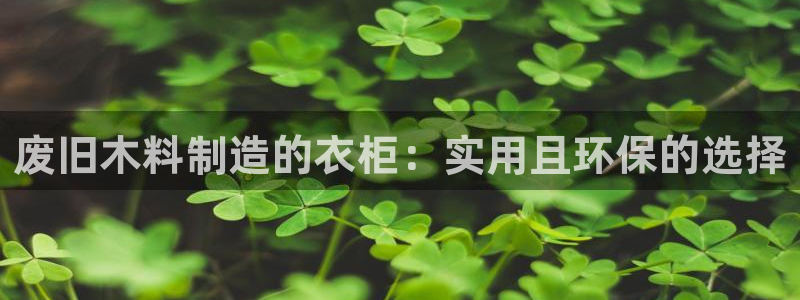 广东天辰娱乐