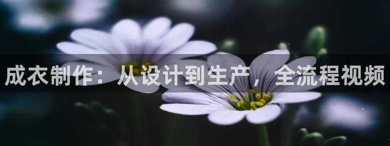 天辰 娱乐 注册