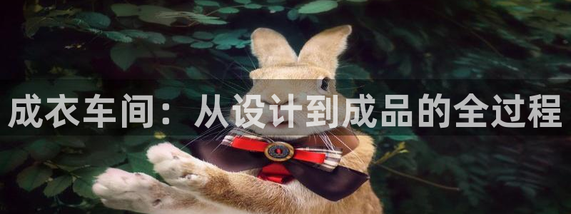 天辰娱乐61116
