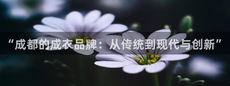 天辰娱乐84566