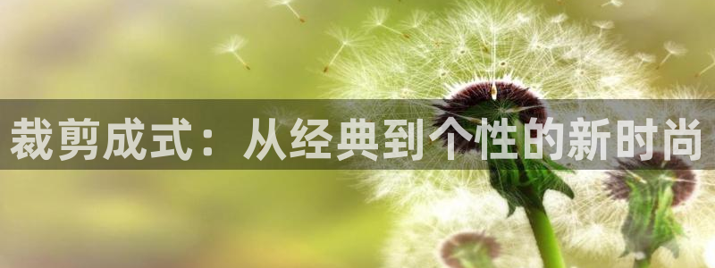 天辰娱乐APP下载