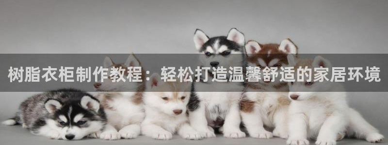 南京天辰娱乐