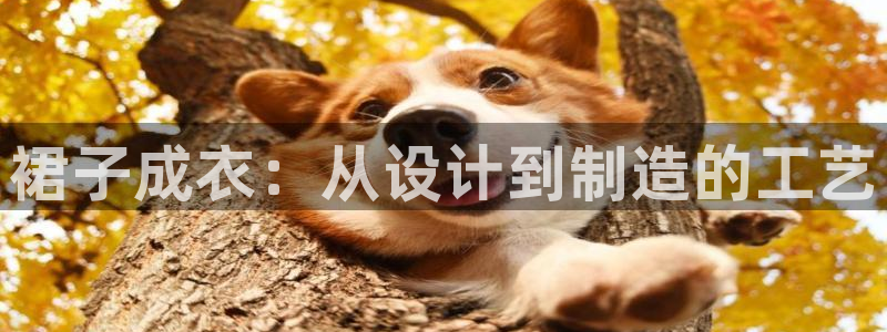 广东天辰娱乐