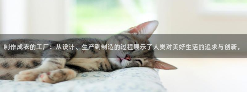 天辰娱乐官方