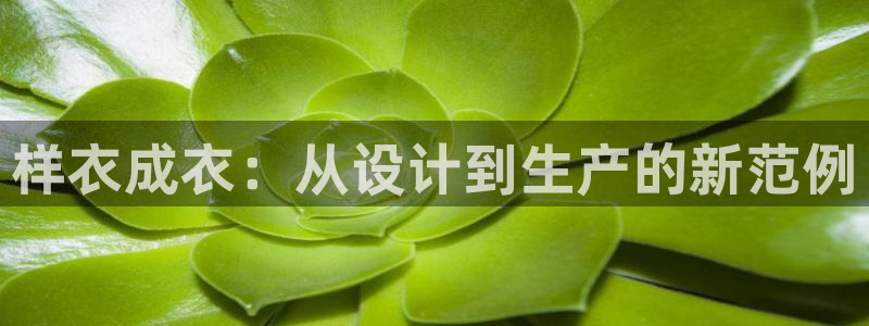 天辰天辰娱乐