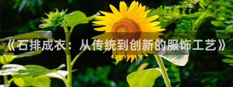 天辰娱乐登陆