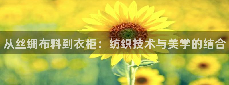 天辰娱乐总管