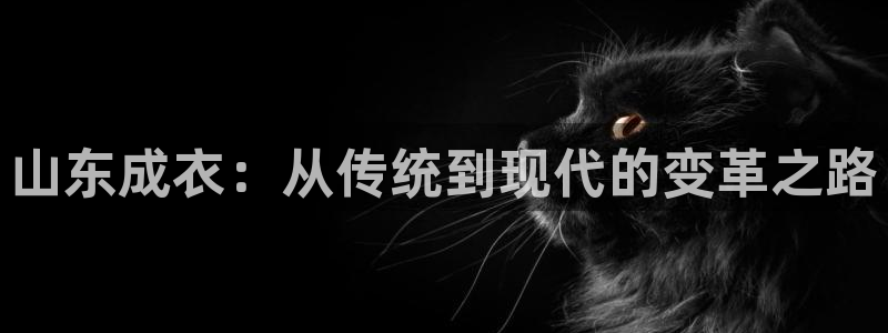 天辰娱乐官网