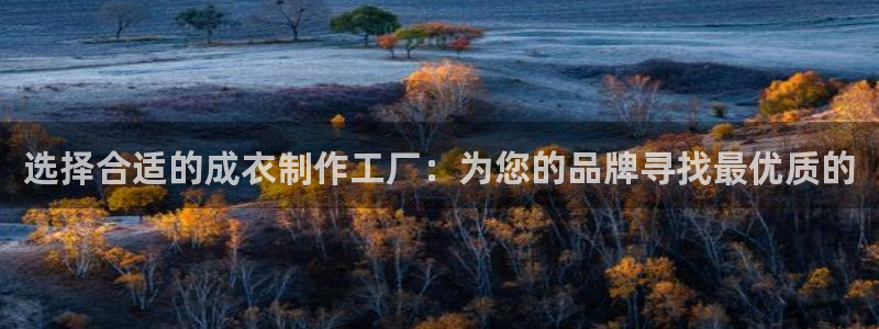南充天辰娱乐
