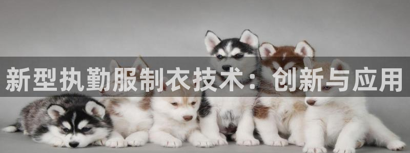 天辰平台娱乐
