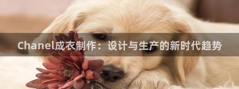 天辰娱乐官网