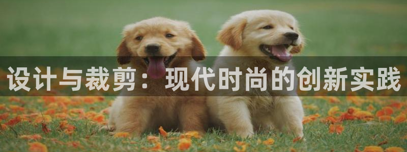 天辰app娱乐