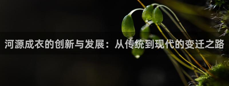 天辰娱乐跑的快