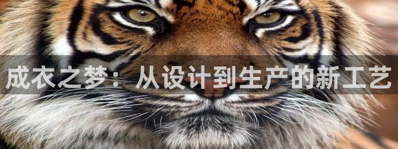 天辰娱乐电话