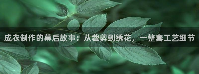 天辰娱乐网