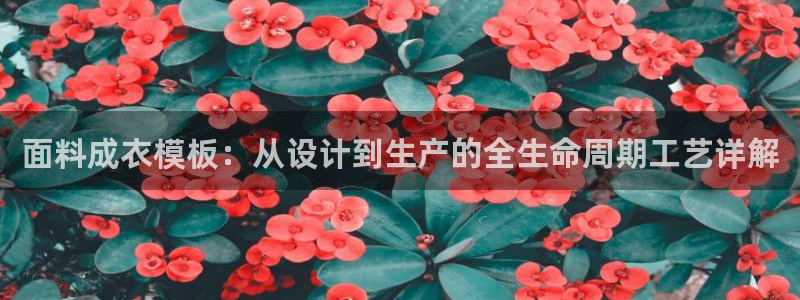 天辰娱乐老板