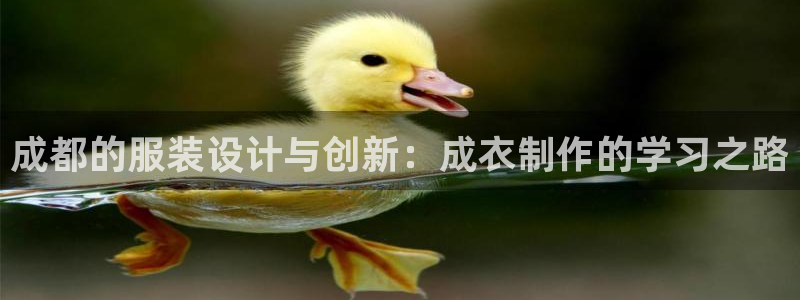 天辰娱乐文化