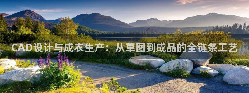 天辰娱乐股东