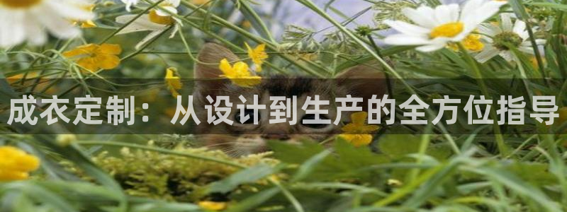北京天辰娱乐