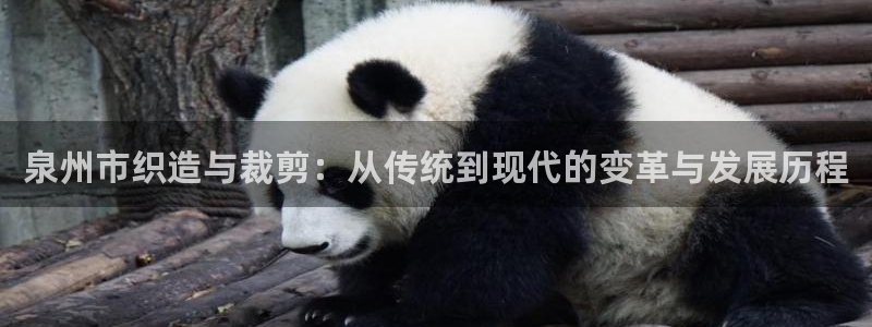 天辰娱乐 44516