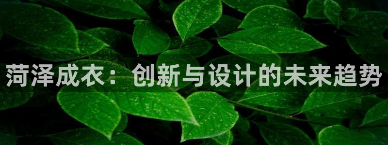 天辰娱乐75775