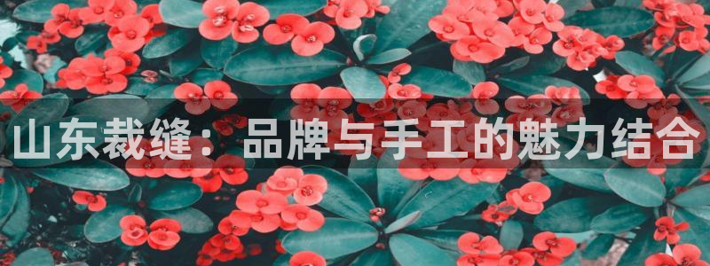 天辰娱乐说
