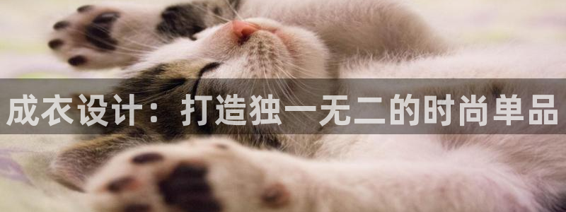 天辰娱乐平台app下载