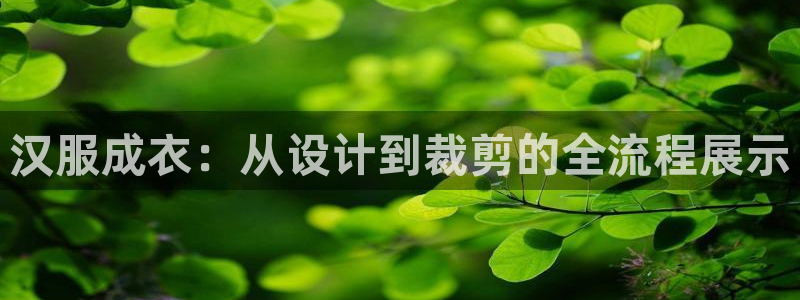 天辰娱乐39974神