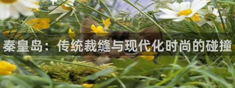 天辰娱乐登陆
