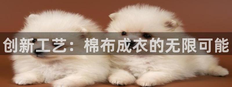 天辰娱乐咋样