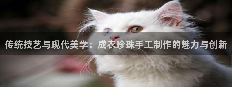 天辰a娱乐