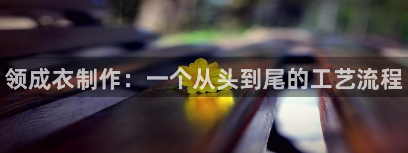 天辰娱乐海洋