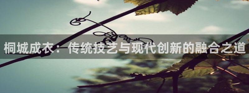 天辰娱乐游戏