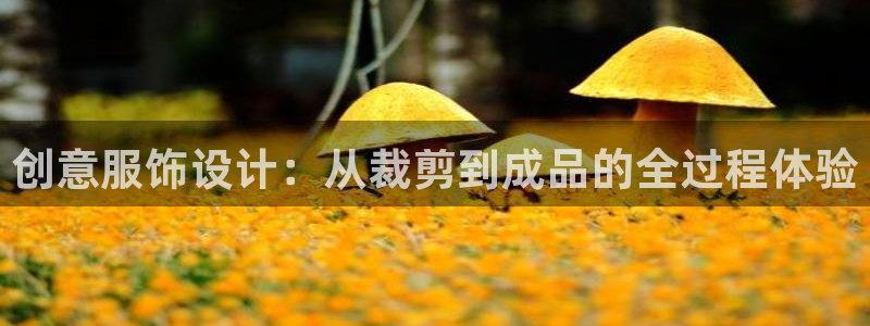 天辰娱乐上级