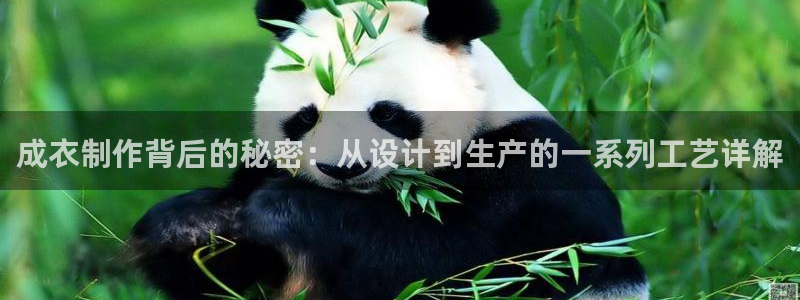 天富娱乐与天辰娱乐