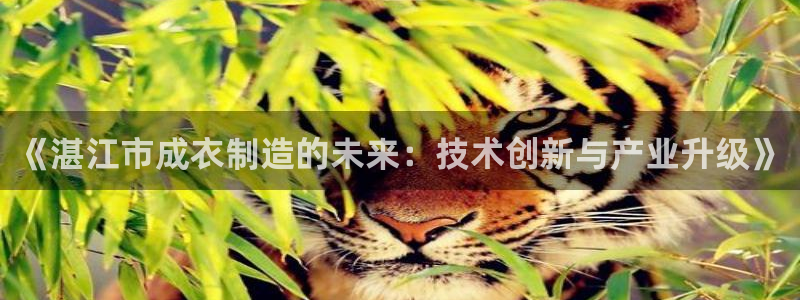 天辰娱乐海洋