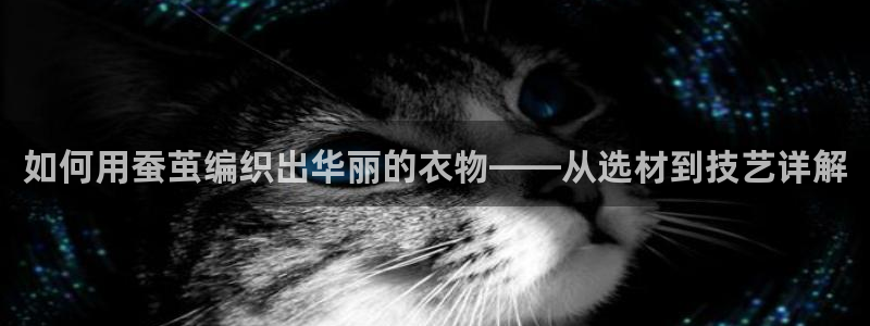 天辰娱乐1996