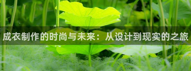 天辰娱乐官网