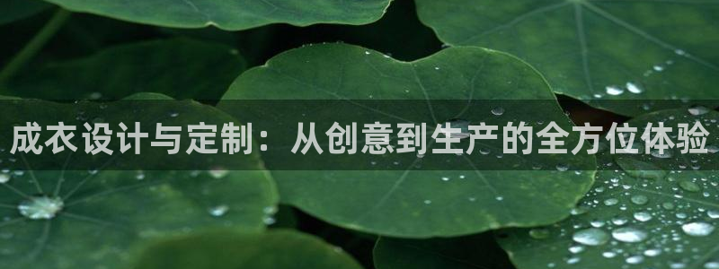 天辰娱乐分红
