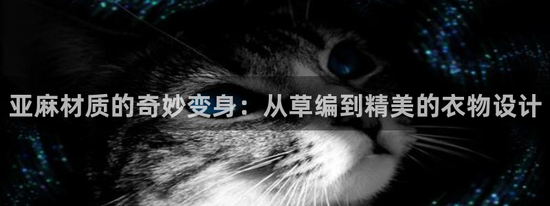辰天娱乐用品