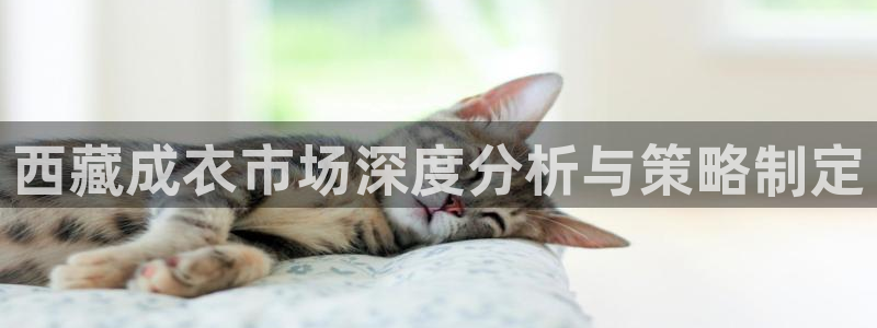 天辰娱乐app