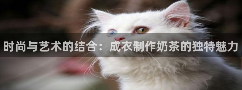 天辰娱乐会所