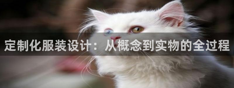 天辰娱乐黑人