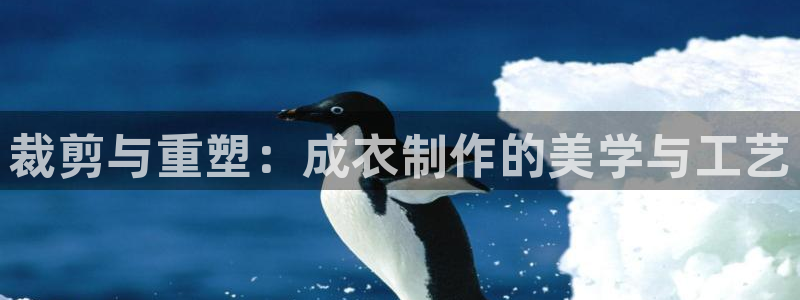 天辰娱乐公司
