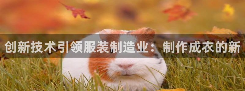 天辰娱乐下载
