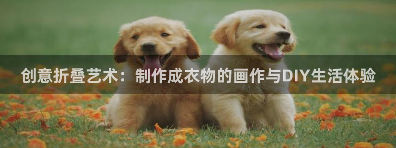 天辰娱乐登录网址