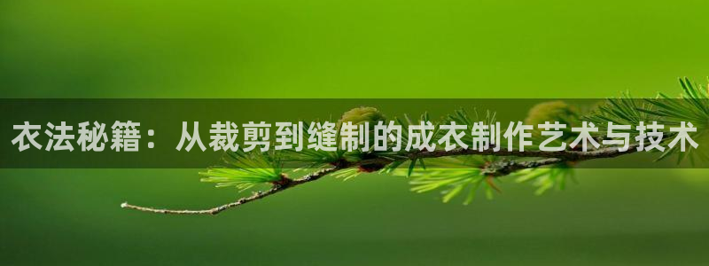 菲律宾天辰娱乐